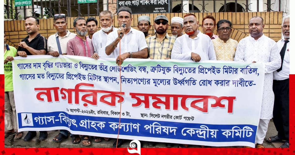 গ্যাস-বিদ্যুতের সংকট নিরসনে নাগরিক সমাবেশ