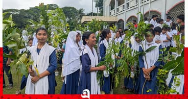 রাঙ্গাবালীতে শিক্ষার্থীদের মাঝে গাছের চারা বিতরণ