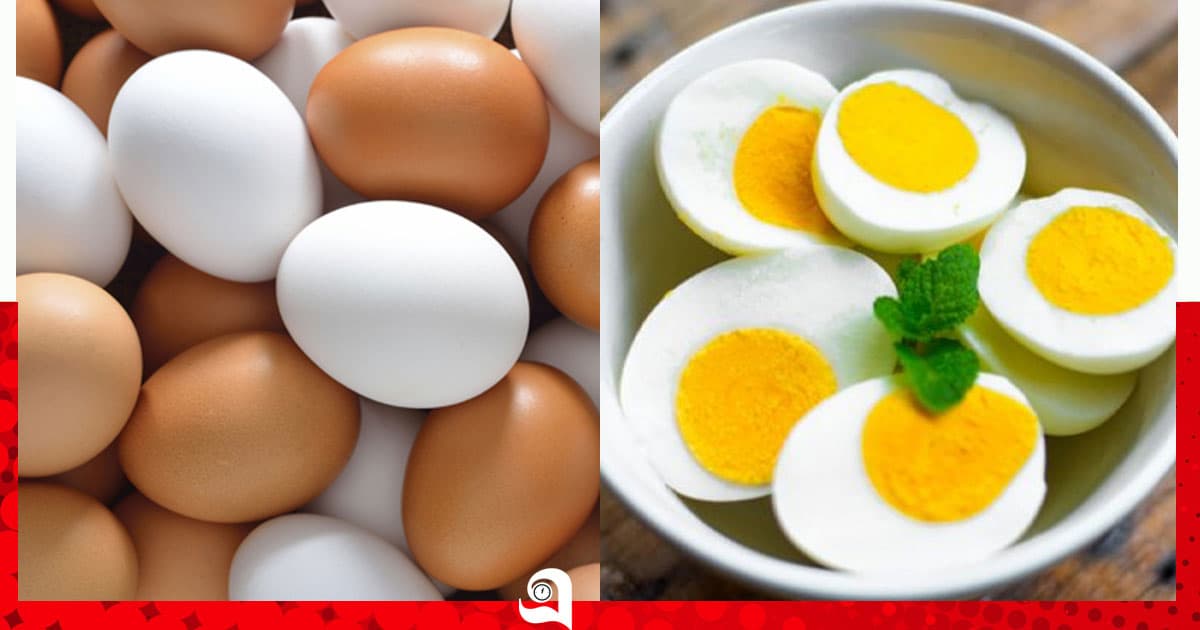 ডিম খাওয়ার সেরা পদ্ধতি কোনটি?