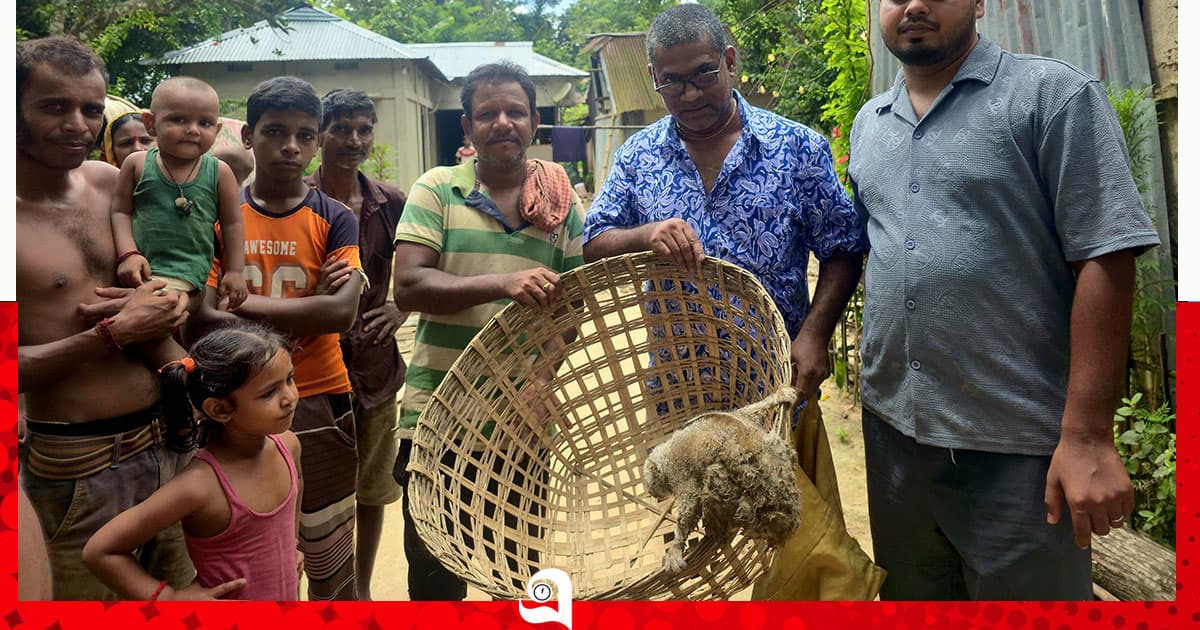 শ্রীমঙ্গলে বিপন্ন লজ্জাবতী বানর উদ্ধার