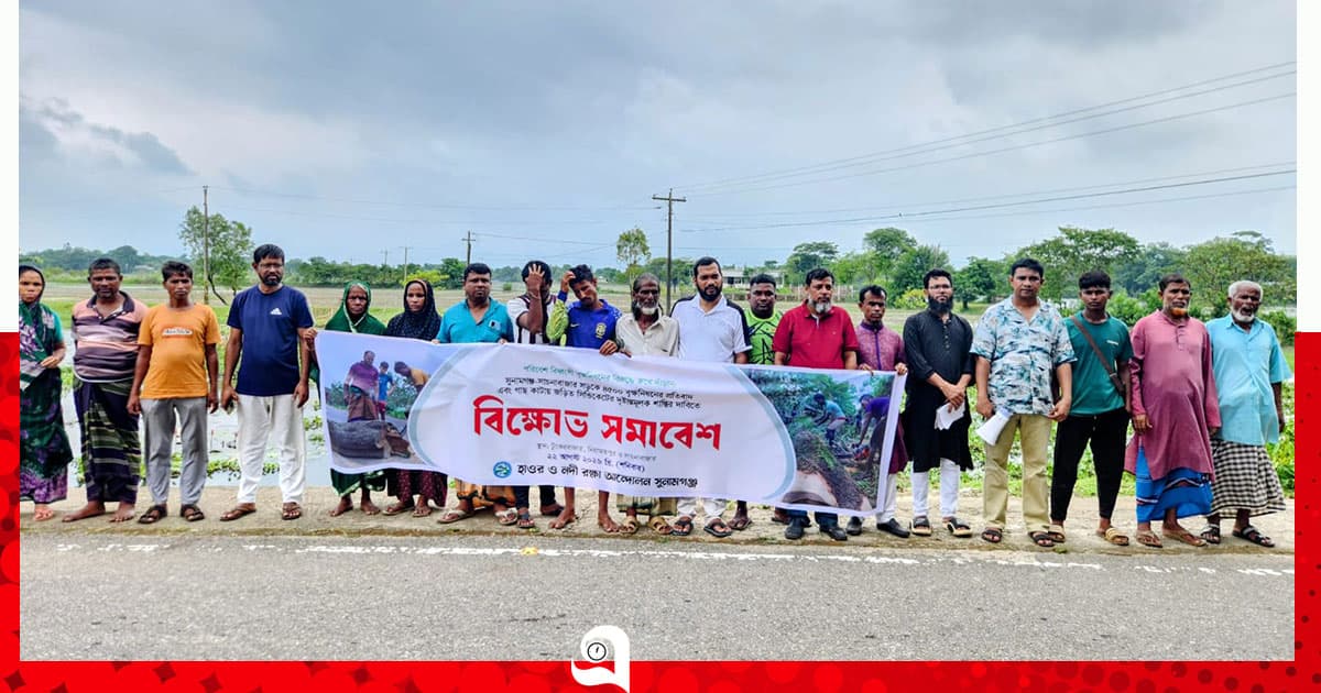 ৪ হাজারের বেশি গাছ কাটার অভিযোগ বন বিভাগের বিরুদ্ধে
