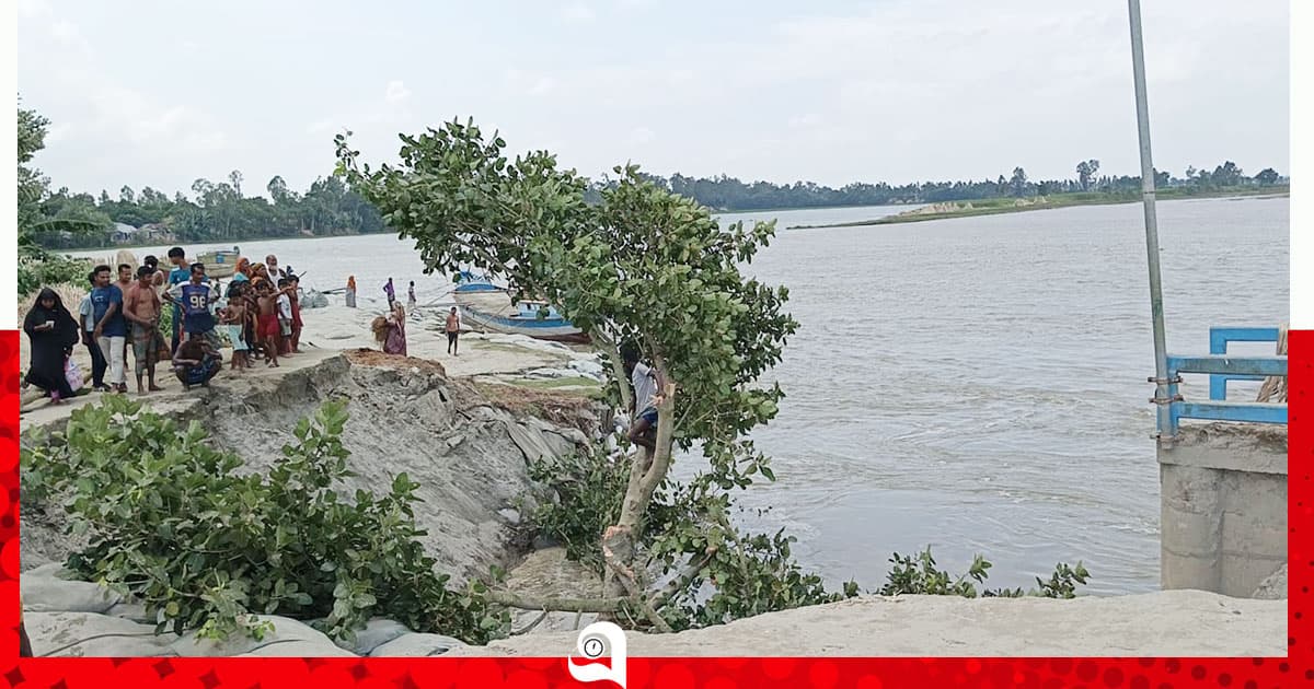সারিয়াকান্দিতে যমুনা ভাঙনের কবলে হাসনাপাড়া স্পার