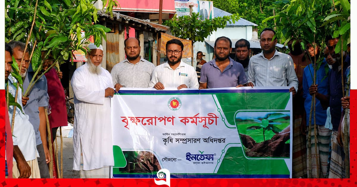 ইনতেফা’র বিনামূল্যে গাছের চারা বিতরণ