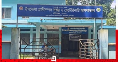 শাবল দিয়ে পোষা কুকুর হত্যা
