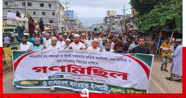 গণভোটের রায় বাস্তবায়নের দাবিতে গণমিছিল