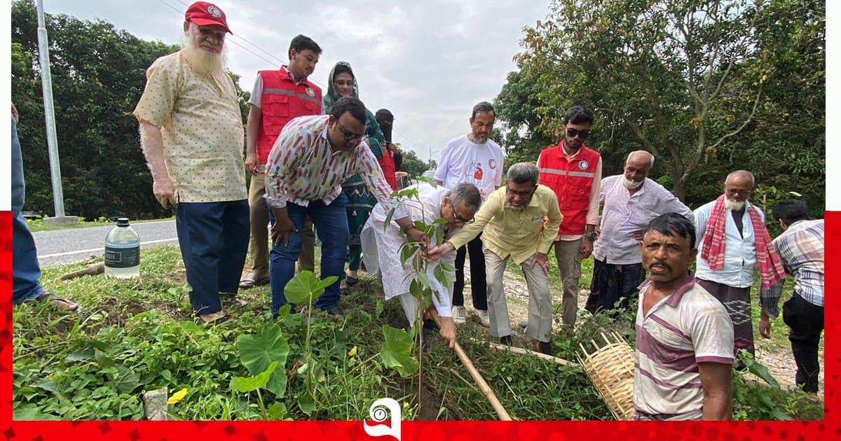 নবনির্মিত সড়কে রেড ক্রিসেন্ট ইউনিটের বৃক্ষরোপণ