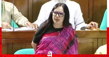 ৬৪ জেলায় ৬৪ জন স্বরাষ্ট্রমন্ত্রী থাকলে মন্দ হতো না : রুমিন ফারহানা