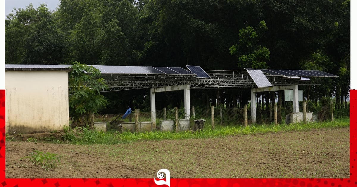 চুরিতে মুখ থুবড়ে সৌর সেচ প্রকল্প
