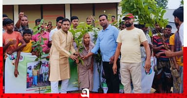 জুলাই শহীদ স্মরণে গাছের চারা বিতরণ