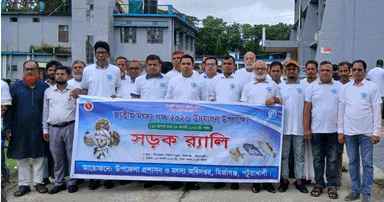 মির্জাগঞ্জে জাতীয় মৎস্য পক্ষ উদযাপিত