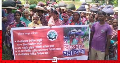 চা উৎপাদন লক্ষ্যমাত্রা পূরণে শঙ্কা