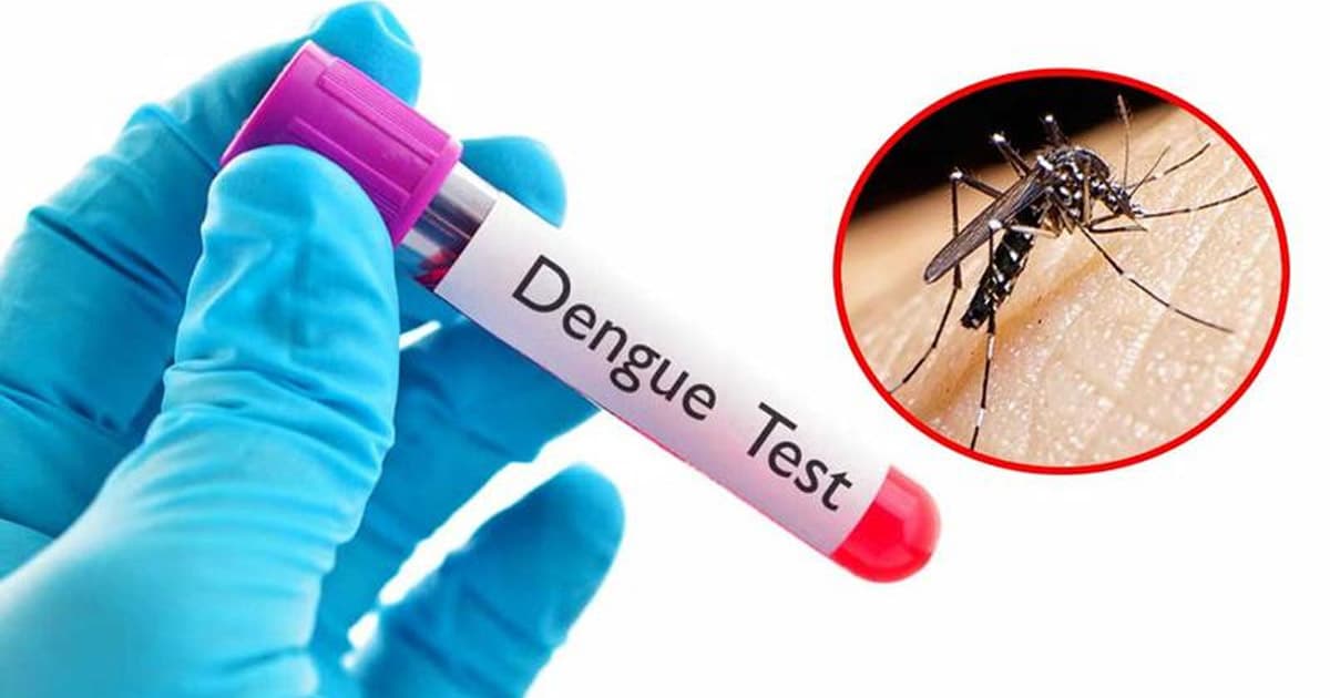 ডেঙ্গুতে আরও ২ জনের মৃত্যু, আক্রান্ত ৬৯৩