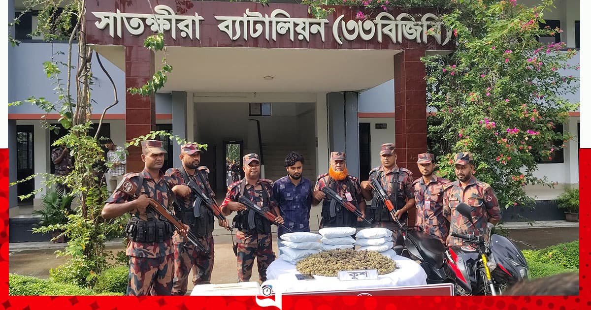 বিজিবির অভিযানে মাদক জব্দ