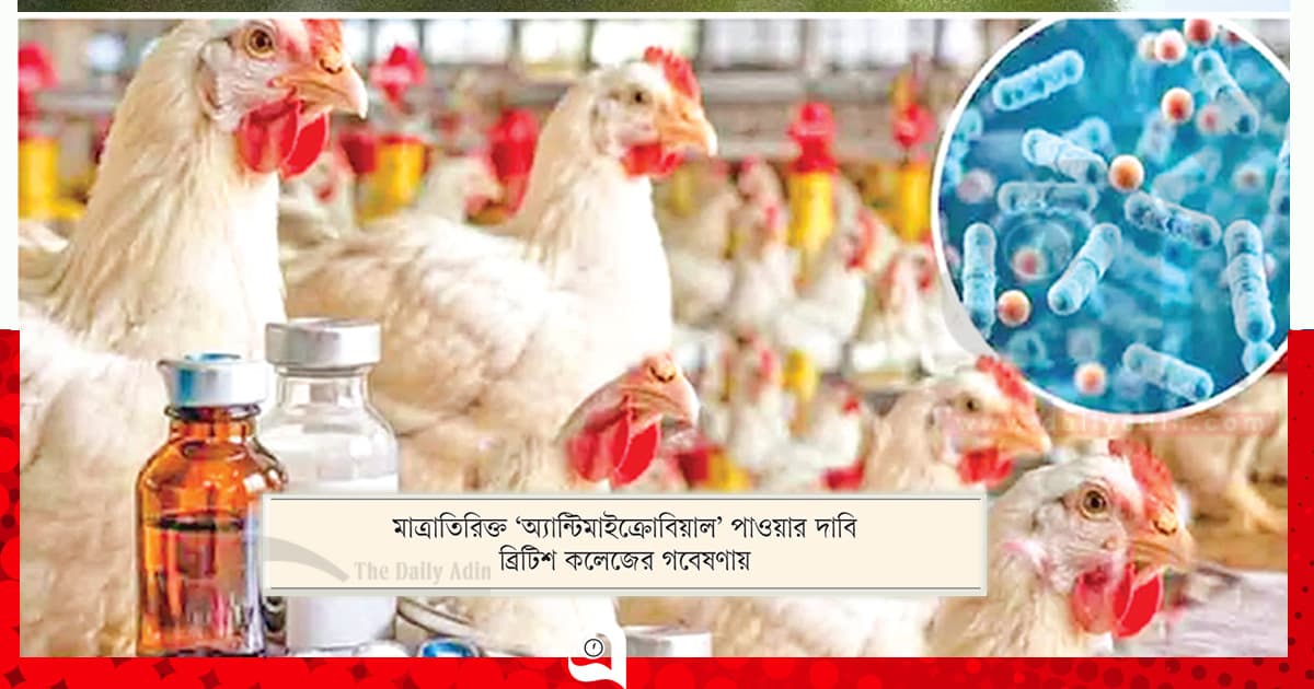 ফার্মের মুরগির মাংসে ক্ষতিকর পদার্থ