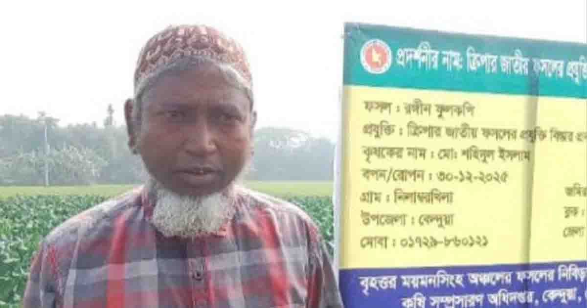 কেন্দুয়ায় রঙ্গীন ফুলকপি চাষে লাভবান কৃষক শহিদুল