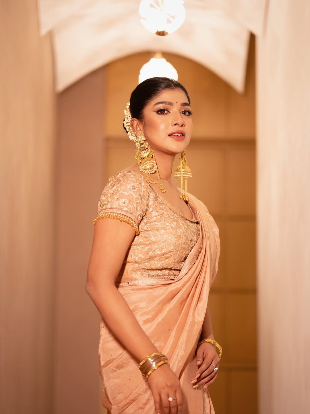 ডিপনেক ব্লাউজেও সোনালি জরির ভরপুর কারুকাজ।