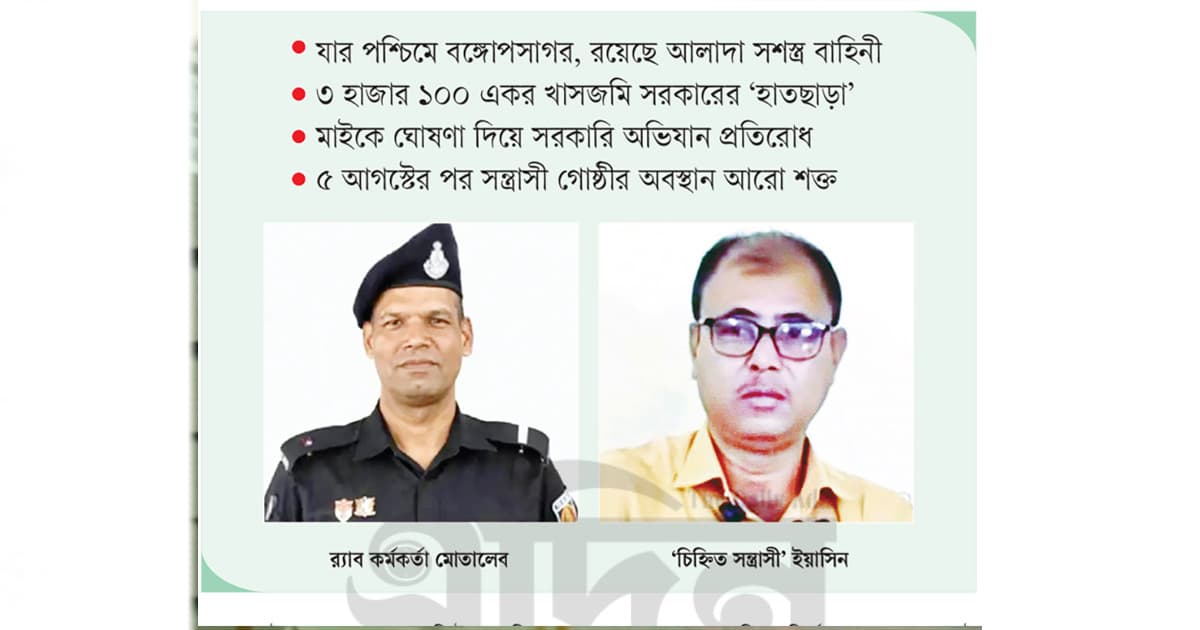 জংলি আইনে চলে যে ‘জঙ্গল’