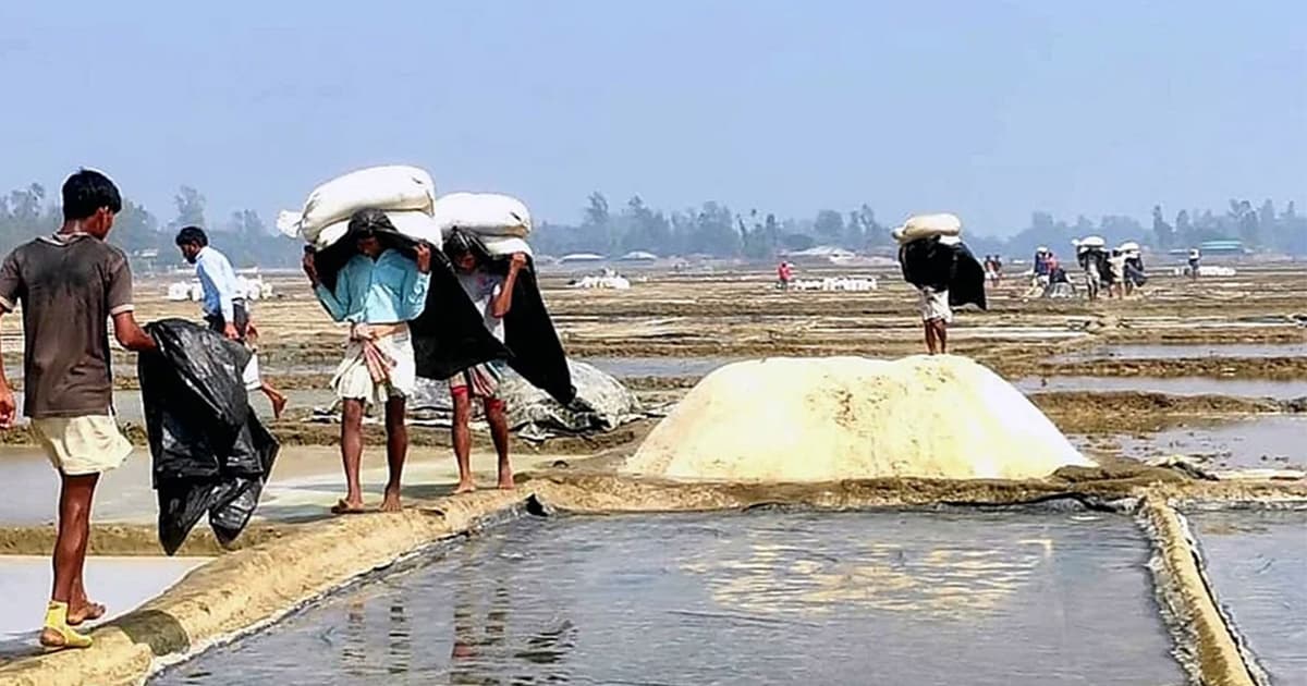 অস্তিত্ব সংকটে উপকূলের লবণ শিল্প