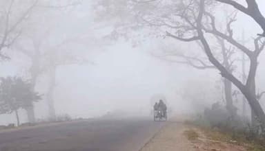 ঘন কুয়াশায় ঢাকা পঞ্চগড়, বিপর্যস্ত জনজীবন