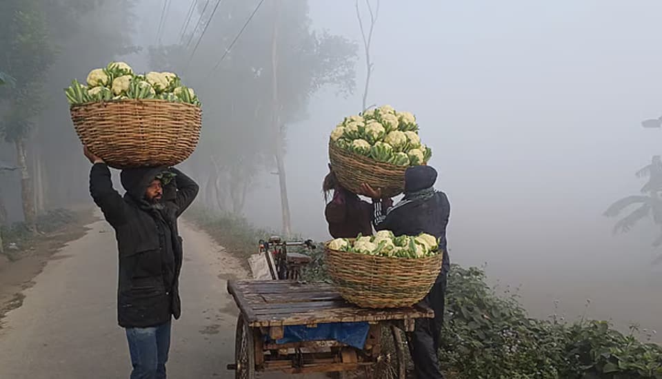 শৈত্যপ্রবাহ ছড়িয়ে পড়েছে সারা দেশে
