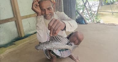 রাক্ষুসে সাকারের কবলে দেশীয় মাছের অস্তিত্ব