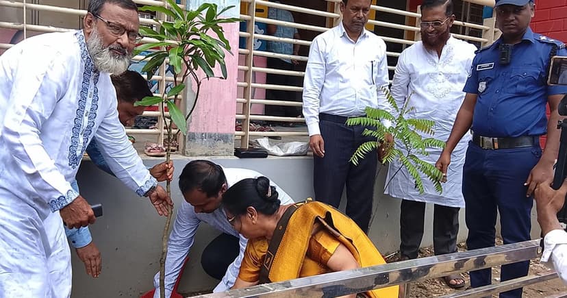 জাতীয় প্রাথমিক শিক্ষা পদক-২০২৬ উপলক্ষে বৃক্ষরোপণ কর্মসূচি