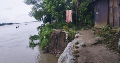 কুশিয়ারার ভাঙনে বিলিন হচ্ছে বাড়িঘর, ফসলী জমি