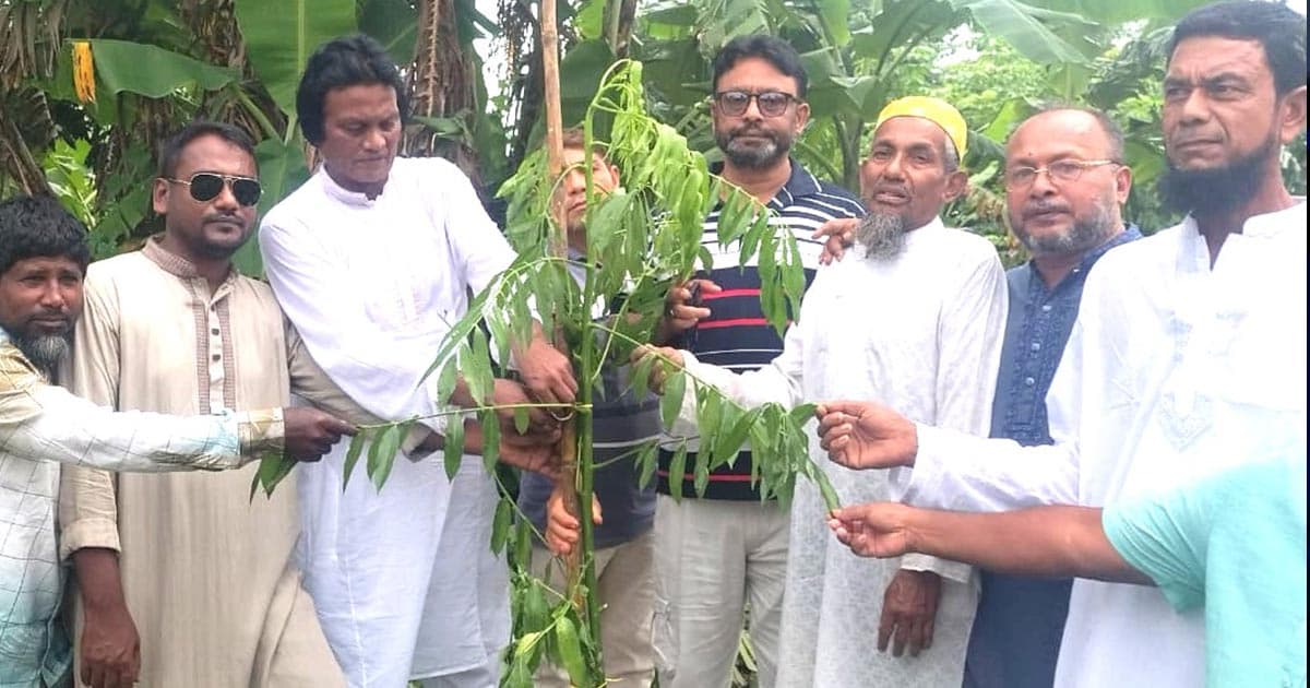 পরিবেশ রক্ষায় ৫০ হাজার বৃক্ষরোপণ কর্মসূচির উদ্বোধন