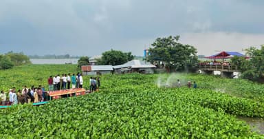 চলনবিলে কচুরিপানা পরিষ্কারের উদ্যোগ