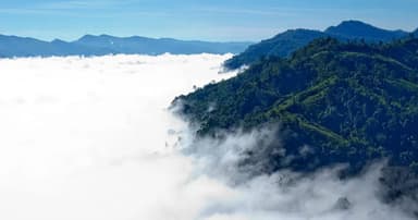 সিপ্পিপাড়ার মোরগঝুঁটি