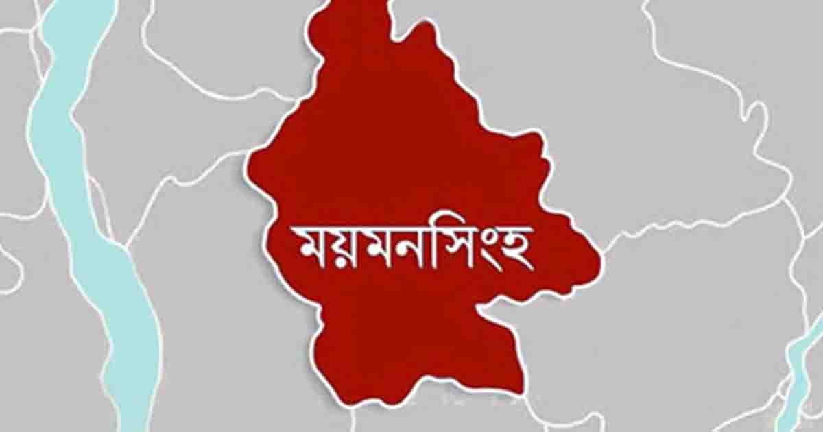 ময়মনসিংহে চালককে কুপিয়ে হত্যা, অটোরিকশা ছিনতাই