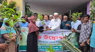 টাঙ্গাইলে গাছের চারা বিতরণ কর্মসূচি উদ্বোধন