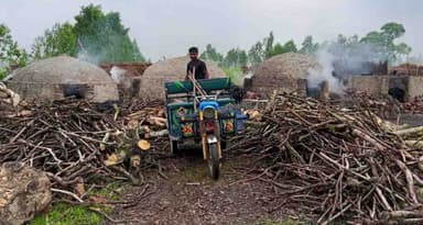 সাঘাটায় প্রশাসনের চোখ ফাঁকি দিয়ে অবৈধ কয়লা উৎপাদন