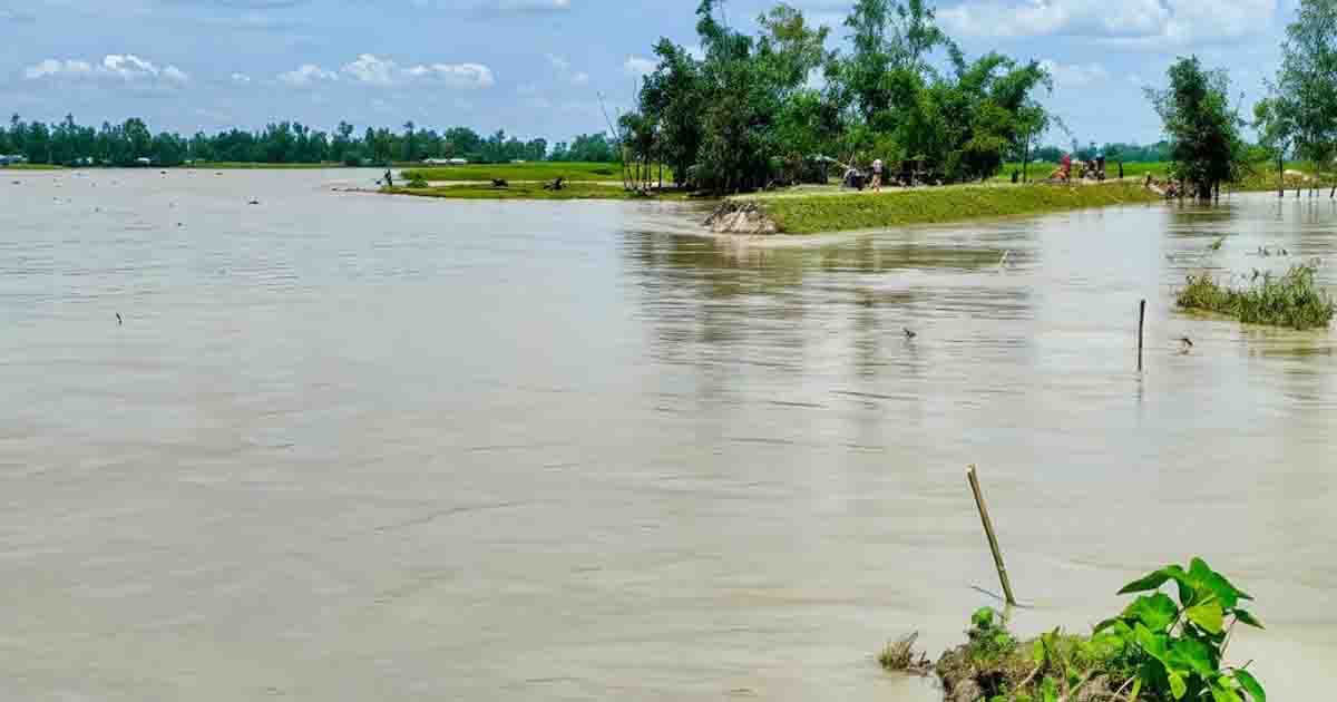 তিস্তায় নতুন তীর সংরক্ষণ বাঁধ ভেঙে ৫০০ পরিবার পানিবন্দী