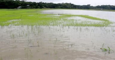 ৬ জেলায় রেকর্ড ক্ষতি: অতিবৃষ্টিতে দিশেহারা বরিশাল
