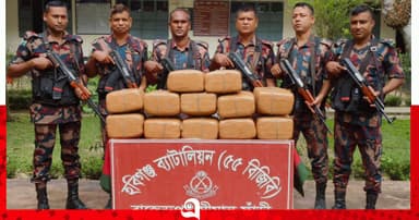 মাধবপুরে বিজিবির অভিযানে গাঁজা জব্দ