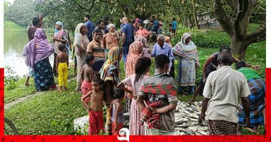 পুকুরে বিষ প্রয়োগে মাছ নিধনের অভিযোগ
