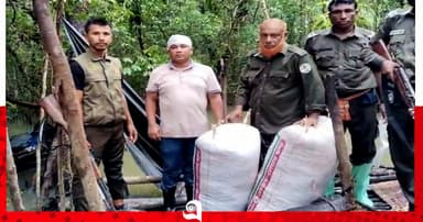 সংরক্ষিত বনে আগুন জ্বালিয়ে শুঁটকি তৈরী করছে দুর্বৃত্তরা
