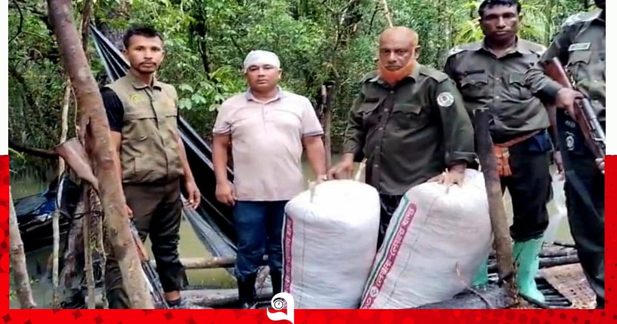 সংরক্ষিত বনে আগুন জ্বালিয়ে শুঁটকি তৈরী করছে দুর্বৃত্তরা