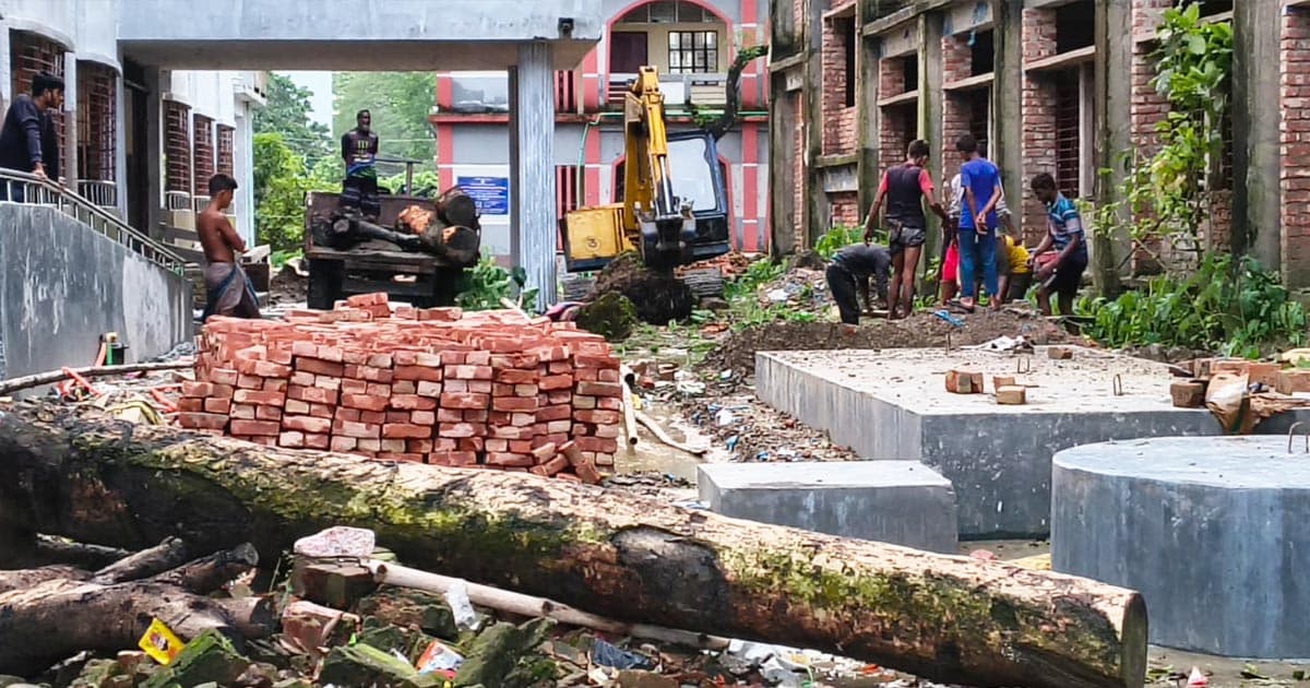 বিদ্যালয়ের গাছ কেটে বাড়িতে নিলেন প্রধান শিক্ষক