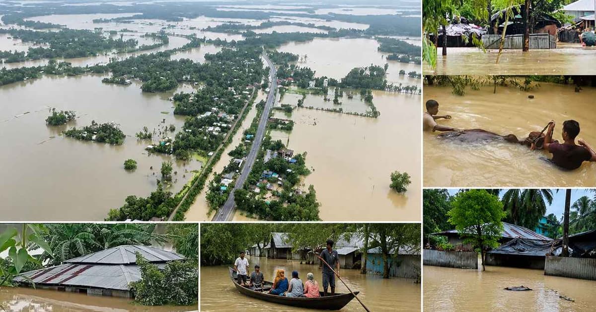 মৃত্যু বেড়ে ৫১, পানিবন্দী লাখো পরিবার