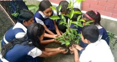 দেশের সব প্রাথমিক বিদ্যালয়ের জন্য জরুরি নির্দেশনা