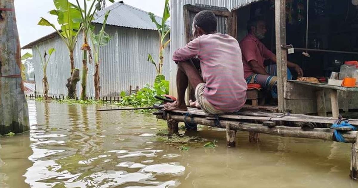 বন্যার ক্ষতি কমাতে পূর্বাভাস-নগরায়ণে জোর