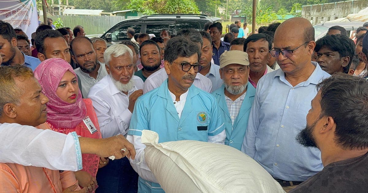বন্যায় ক্ষতিগ্রস্ত ডেইরি খামারিদের মাঝে গোখাদ্য বিতরণ