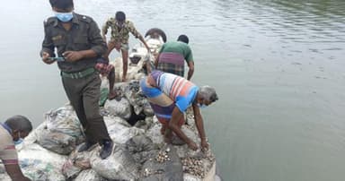 মালঞ্চ নদীতে ৭৭ বস্তা ঝিনুক অবমুক্ত