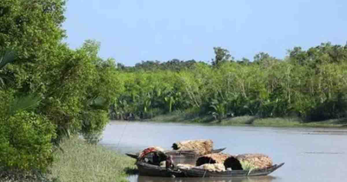 সুন্দরবনে অপহৃত ৫ জেলে মুক্তিপণ দিয়ে মুক্ত