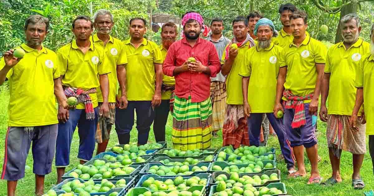 অনলাইনেই কোটি টাকার ‘আম বাণিজ্য’