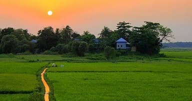 হারিয়ে যাচ্ছে হাওরাঞ্চলের গ্রামীণ সৌন্দর্য