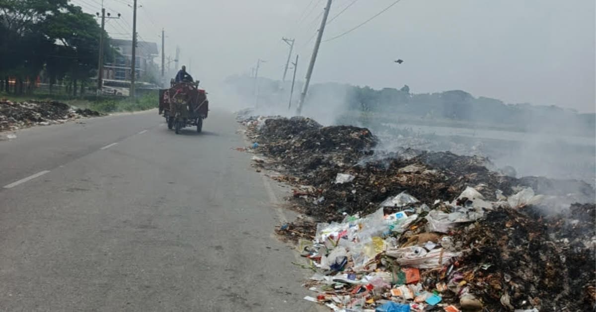 ভোলা-চরফ্যাশন মহাসড়কের পাশে ময়লার ভাগাড়, ভোগান্তিতে মানুষ