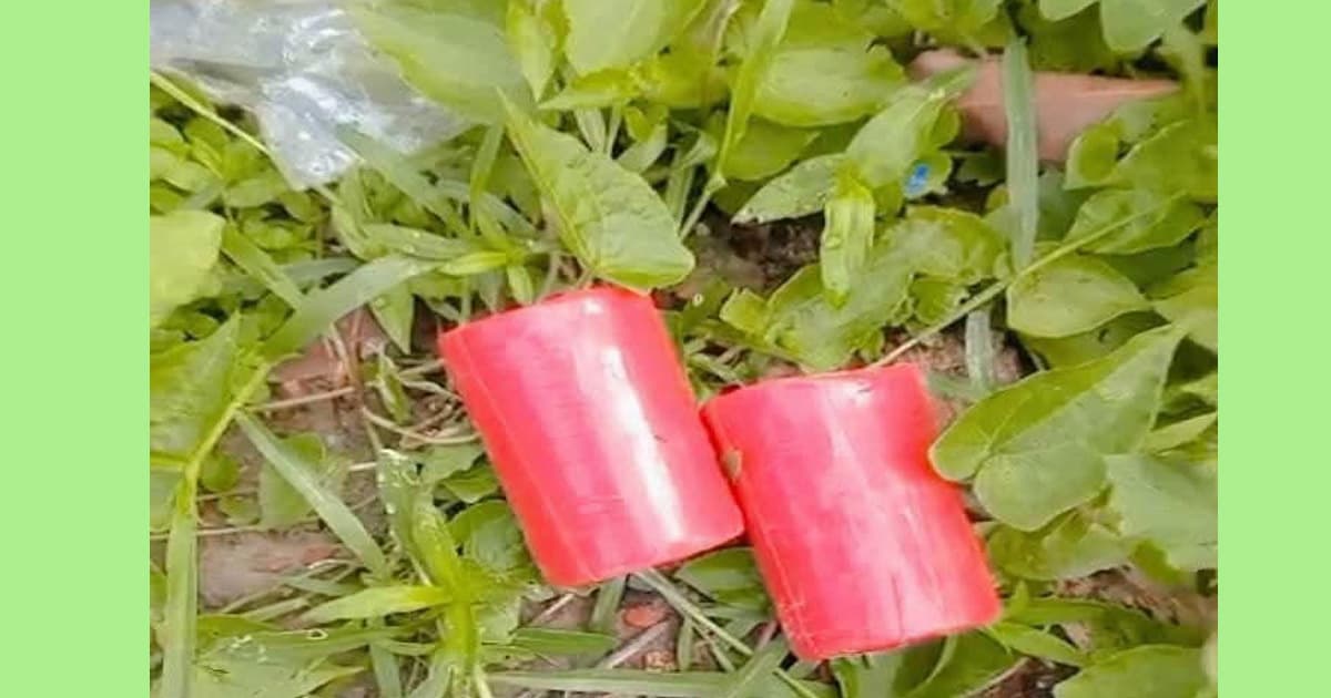 সাতক্ষীরায় বিএনপি অফিসের সামনে থেকে ককটেল উদ্ধার